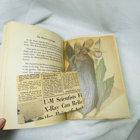 Book of Wildflower 1939 with Pressed Floral Lady Slipper  Margaret McKenny - Picture 8 of 11